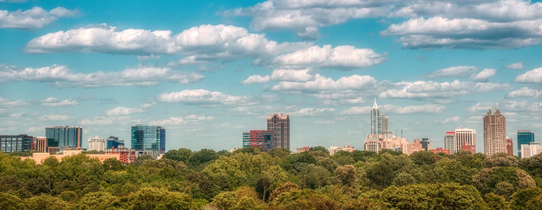 a park with trees and buildings in the background