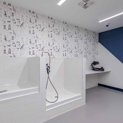 dog spa with bathing area and towels 